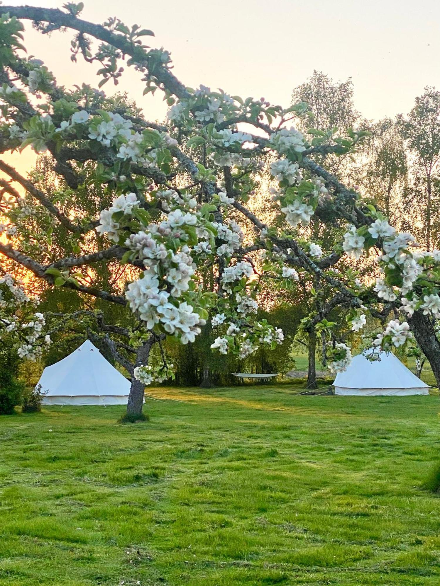 Soerby Glamping Hotel Klockrike Exterior photo
